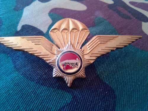 SADF - VLAKPLAAS TACTICAL PARACHUTE WING (STANDARD)