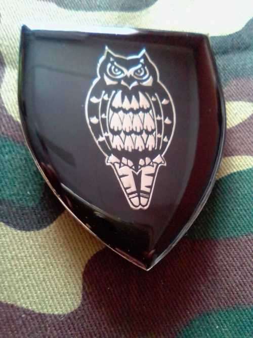 SADF DIRECTOR GENERAL MILITARY INTELLIGENCE SHOULDER FLASH