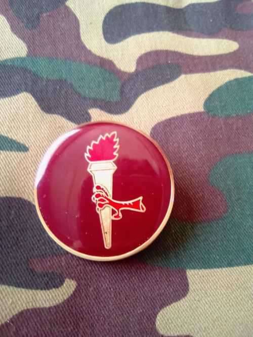 SADF 44 PARACHUTE BRIGADE PATHFINDER UNIT FLASH