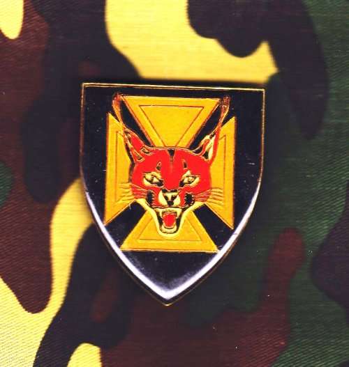 SADF 7 SAI INFANTRY BATTALION SHOULDER FLASH