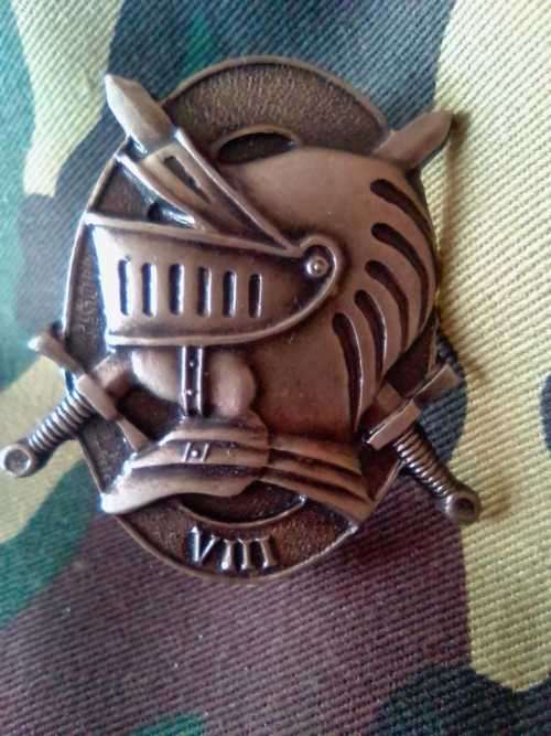 SADF 8th ARMOUR DIVISION BERET BADGE