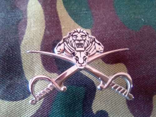 SADF - SANDF PT INSTRUCTOR CHROMED BADGE