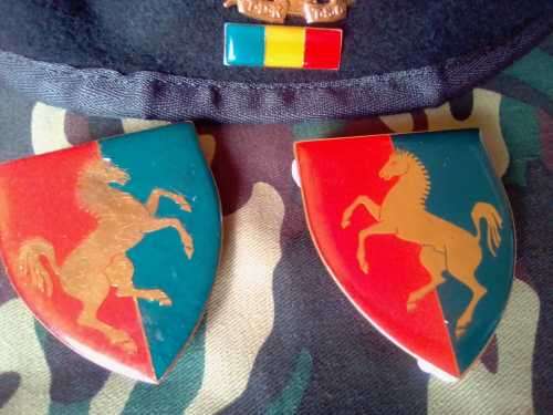 SADF TECHNICAL SERVICES BERET (TDK) - FULL - INCL.SET OF SHOULDER FLASHES