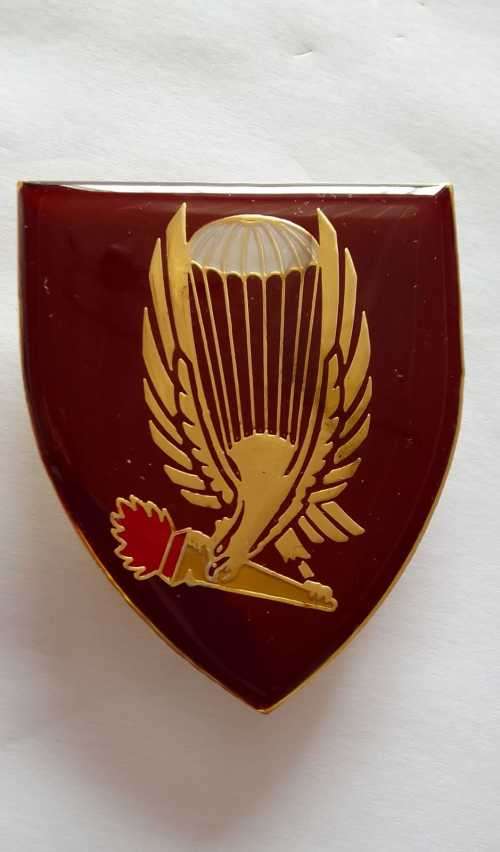 SADF / SA ARMY  44 PARACHUTE BRIGADE - PATHFINDER  - PROPOSED FLASH - RARE- WITH PINS