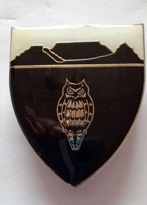 SADF / SA ARMY WP MILITARY INTELLIGENCE SHOULDER FLASH - WITH PINS