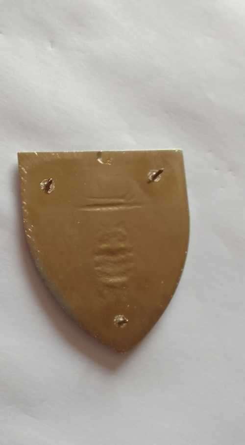 SADF / SA ARMY WP MILITARY INTELLIGENCE SHOULDER FLASH - WITH PINS