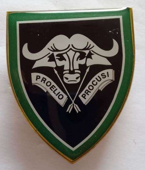 SADF / SA ARMY   32 BATTALION DECAL (commemorative) SHOULDER FLASH