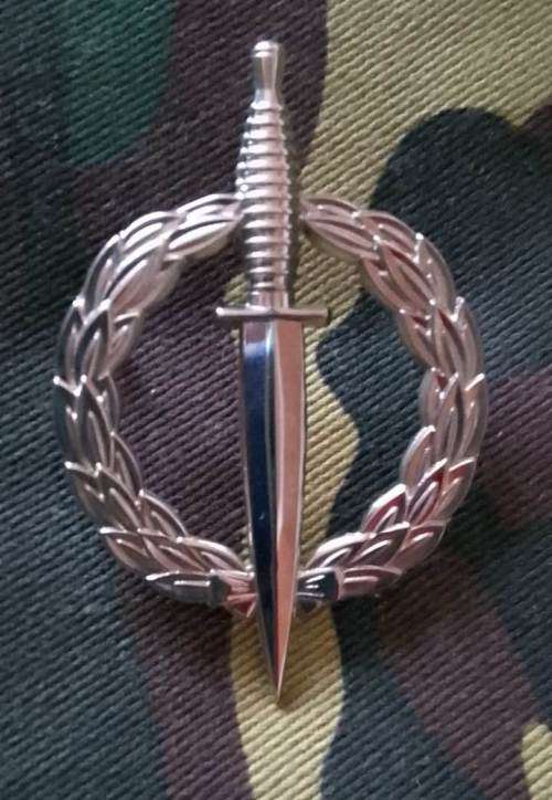 SADF RECCE OPERATORS BADGE - chromed- un-numbered