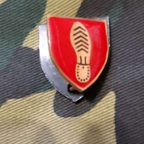 SADF/SANDF TRACKER INSTRUCTOR BADGE - MESS DRESS