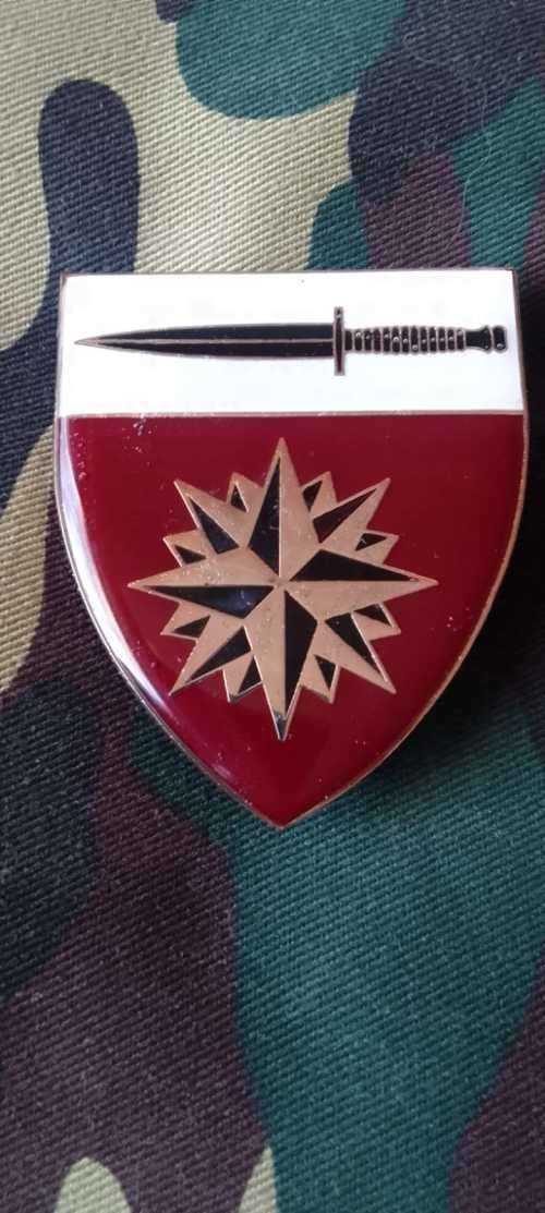SADF SPECIAL FORCES SCHOOL SHOULDER FLASH  ---with pins