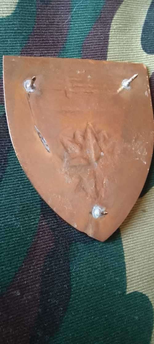SADF SPECIAL FORCES SCHOOL SHOULDER FLASH  ---with pins