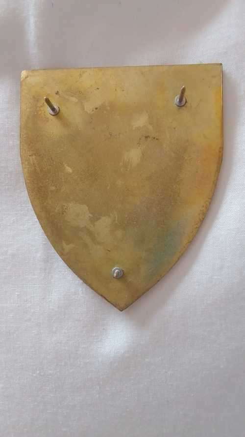 SADF  - KOEVOET  OPS `K` RUNDU (Z4K)- COMMEMORATIVE METAL FLASH