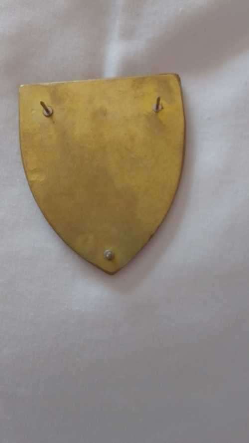 SADF  - KOEVOET   OFINO -COMMEMORATIVE METAL FLASH