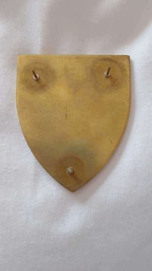 SADF  - KOEVOET   EMBONDWE  -COMMEMORATIVE METAL FLASH