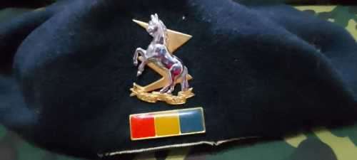 SADF / SA ARMY  TECHNICAL SERVICES (TDK) BERET - FULL - (MET HOUDING)