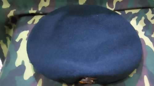 SADF / SA ARMY  TECHNICAL SERVICES (TDK) BERET - FULL - (MET HOUDING)