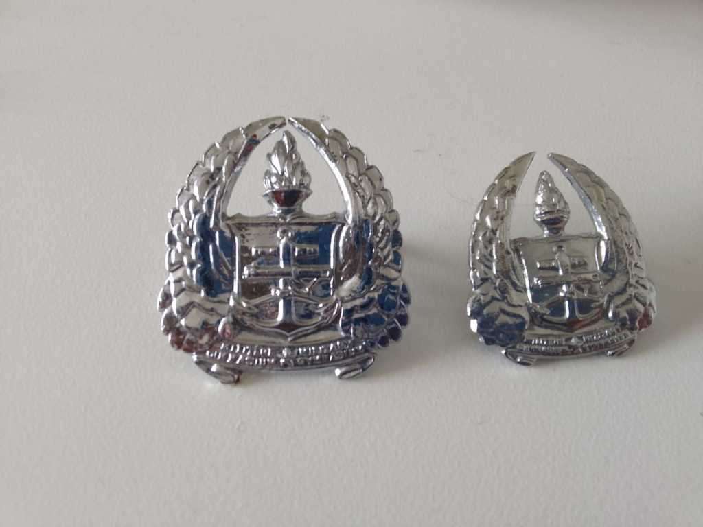 SADF/SA ARMY GYMNASIUM CAP BADGE (WITH LUGS) AND 1 X SINGLE COLLAR BADGE (WITH PINS)