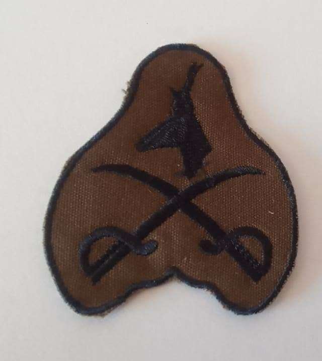 SADF / SA ARMY PT INSTRUCTORS CLOTH BADGE  - SINGLE