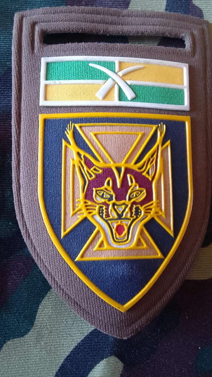 SADF/ SA ARMY  7 SAI  TUPPER FLASH - WITH PIN