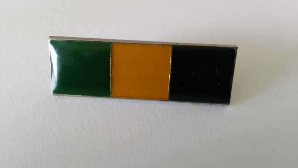 SADF/ SA ARMY  INFANTRY BERET BALKIE - WITH PINS