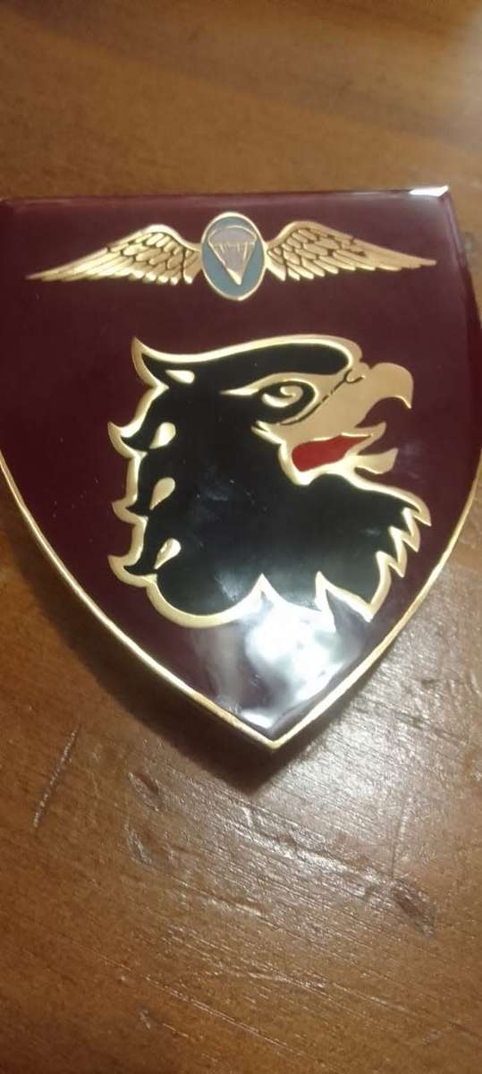 SADF / SA ARMY 44 PARACHUTE BRIGADE STATIC LINE INSTRUCTOR SHOULDER FLASH - WITH PINS