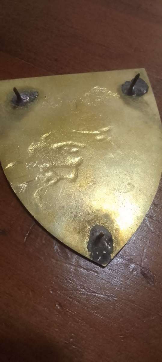 SADF / SA ARMY 44 PARACHUTE BRIGADE STATIC LINE INSTRUCTOR SHOULDER FLASH - WITH PINS