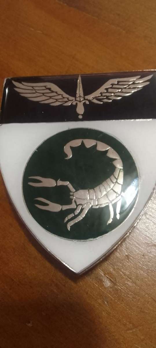 SADF / SA ARMY  2 RECCE COMMANDO SHOULDER FLASH - WITH PINS