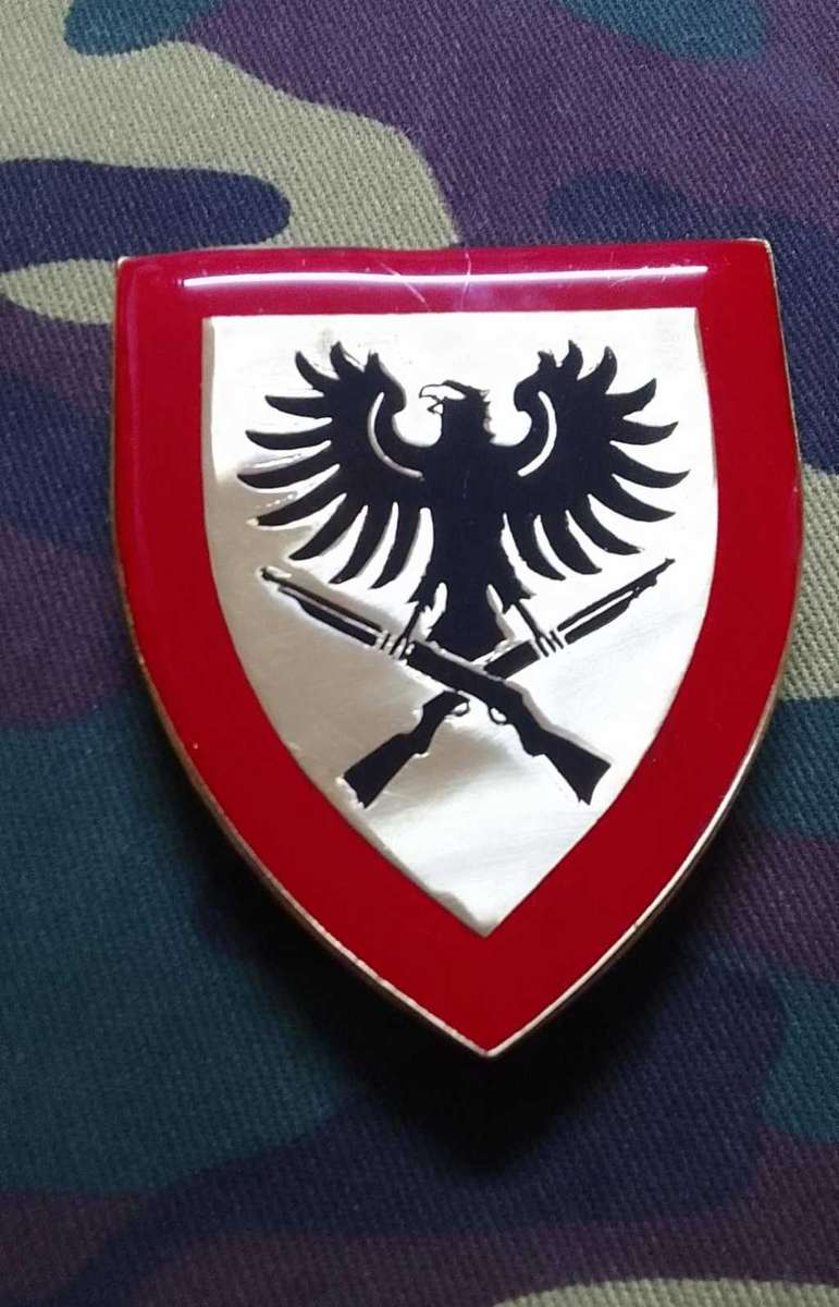 SADF/ SA ARMY/ SWATF 913 BATTALION  SHOULDER FLASH - WITH PINS