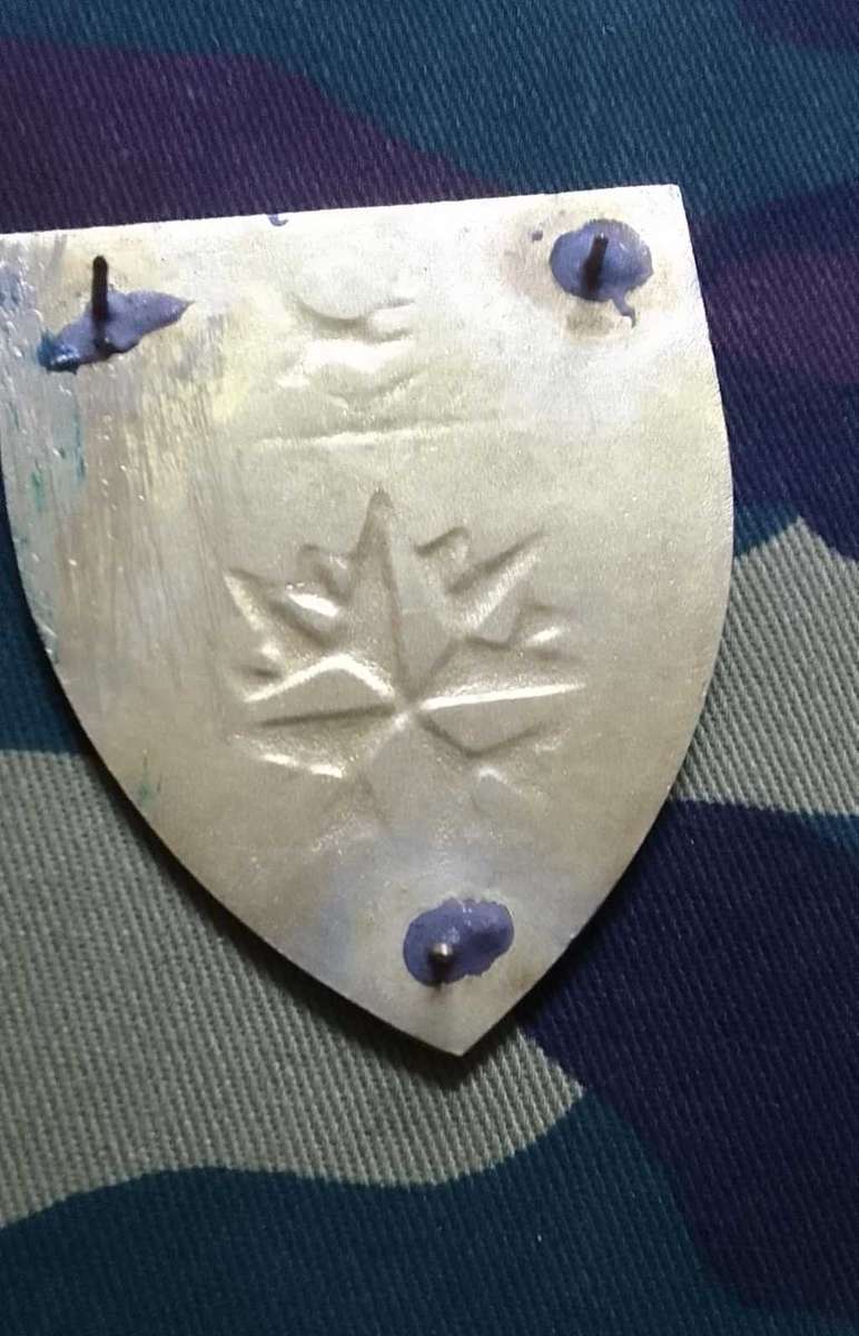 SADF/SA ARMY  2 SPECIAL FORCES REGIMENT SHOULDER FLASH