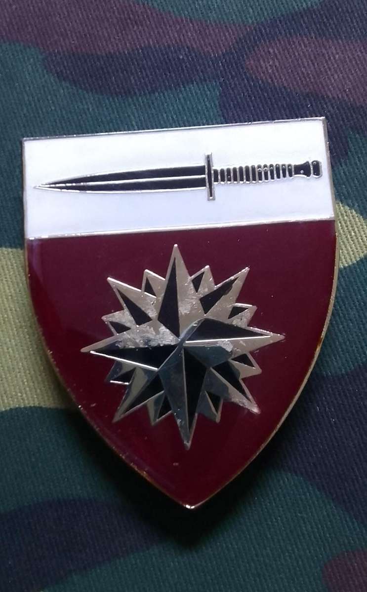 SADF/ SA ARMY  SPECIAL FORCES SCHOOL SHOULDER FLASH  ---with pins
