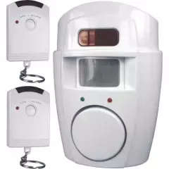 motion alarm system