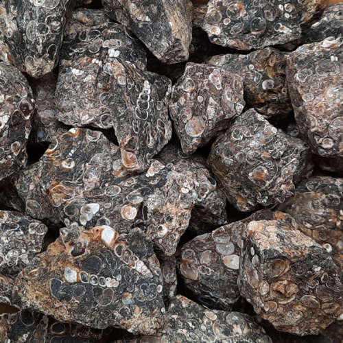 Agate Turritella Rough 250gr   survival stone, one of strength , protection and abundance in all