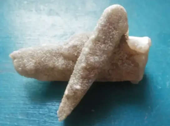 Cactus Quartz from Boekenhout