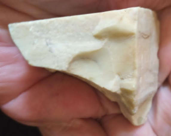 Archaen Butterstone   most widely accepted fossil evidence for Archean life.