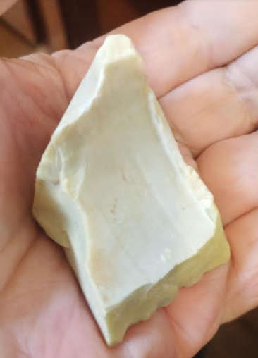 Archaen Butterstone   most widely accepted fossil evidence for Archean life.