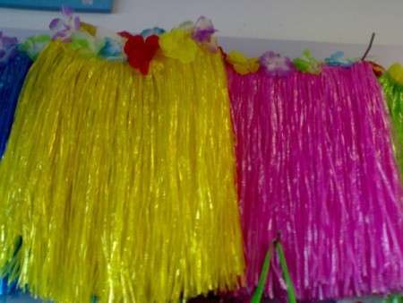 Hawaiian luau grass skirt