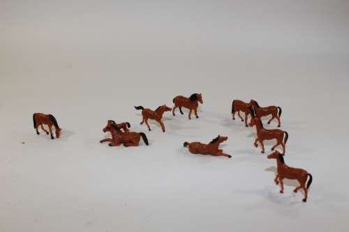 10 x Horses