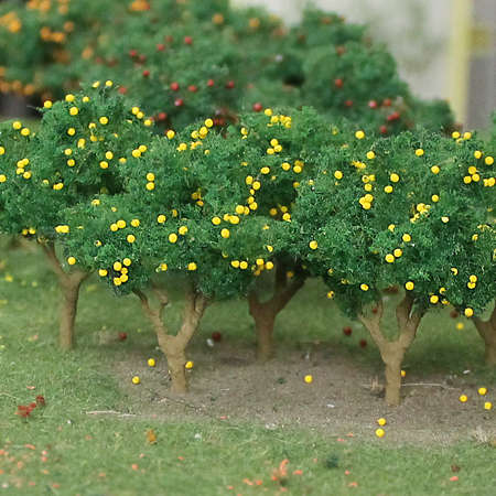 6 x Lemon Trees