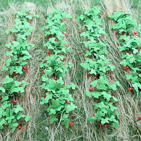 18 x Strawberries Plants