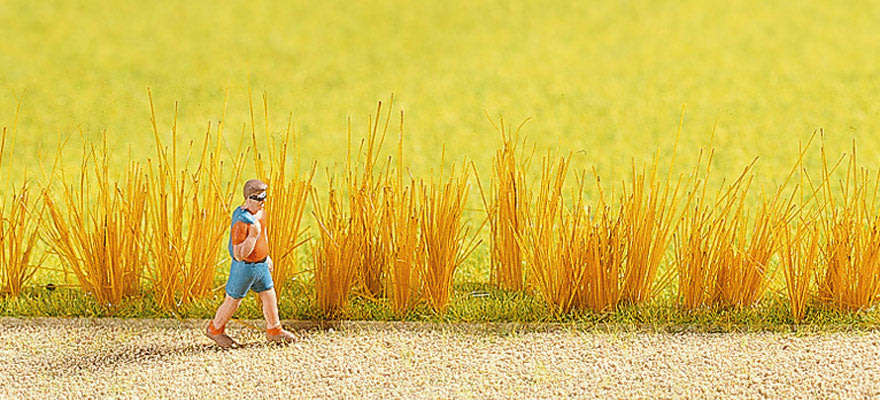 Noch : 3 Packets of Reeds