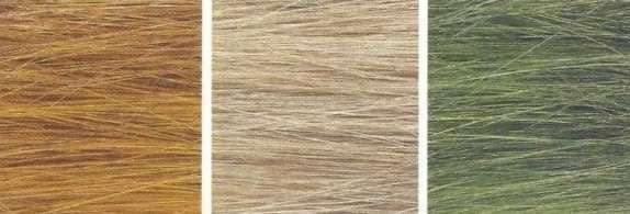 Noch : 3 Packets of Reeds