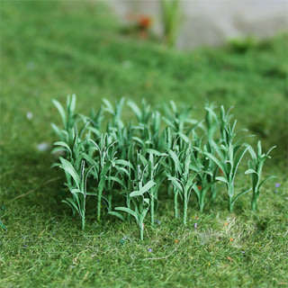 32 X Young Corn Stalks