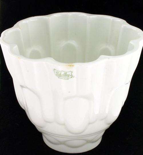 Shelley Jelly Mould **Please read**