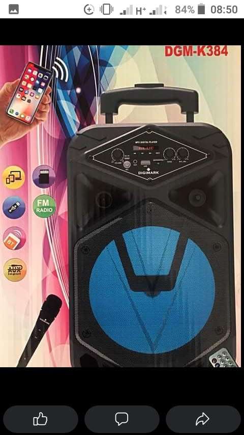 Bluetooth outdoor speaker with Mike and remote