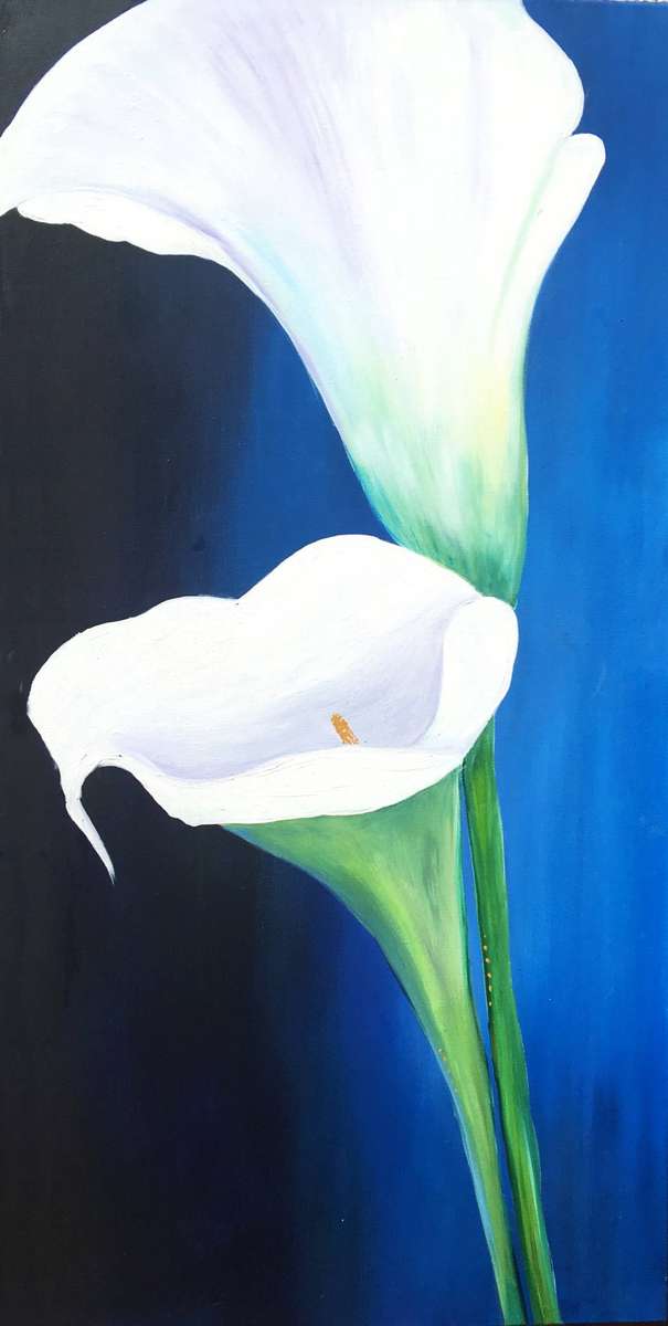 SA artist Bridgette Allan - LARGE original painting on STRETCHED canvas