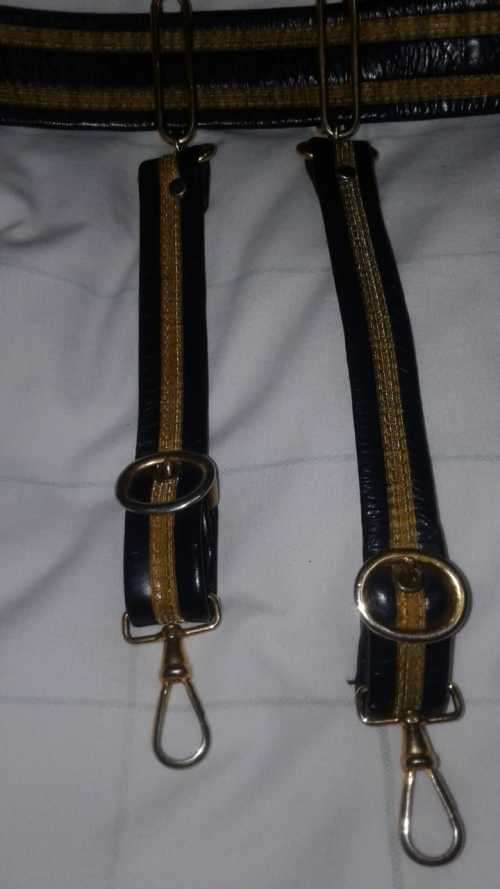 SAAF Ceremonial Belt 2