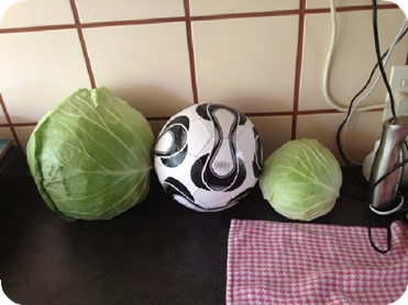 20 liters Nano technology plant nutrient to test