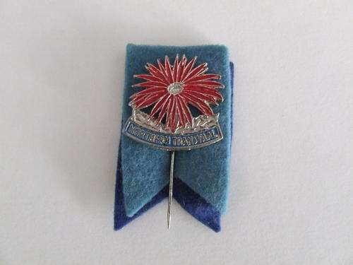 Northern Transvaal Rugby Pin Badge