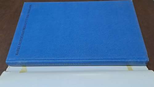 Berigte Uit die Vreemde: Ierse Dagboek