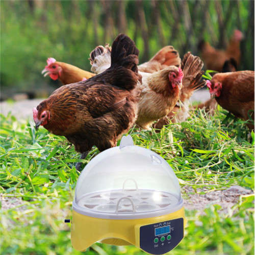 7 Egg Manual Incubator - LOCAL STOCK